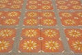 Outdoor pattern floor ,orange flower Royalty Free Stock Photo