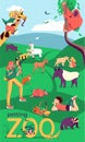 Outdoor Petting Zoo Background