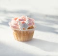 Outdoor photo of cupcake decorated with a sugar butterfly. Cupcake standing on fresh snow at sunny winter day.