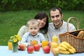 Outdoor picnic