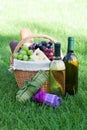 Outdoor picnic basket with wine on lawn Royalty Free Stock Photo