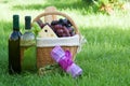 Outdoor picnic basket with wine on lawn Royalty Free Stock Photo