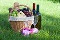 Outdoor picnic basket with wine on lawn Royalty Free Stock Photo