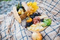 Outdoor picnic with a plate of meat and cheese cuts and grapes, a basket with a baguette and a bottle of wine on a mat. Royalty Free Stock Photo