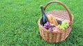 Wicker picnic basket with white and black grapes and wine on green grass outside in summer park, no people Royalty Free Stock Photo