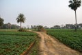 Outdoor picture of a fascinating, quiet, and beautiful village in West Bengal