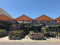 Outdoor plants and flowers on sale at a hardware store