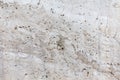 Outdoor polished concrete texture Royalty Free Stock Photo