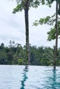 outdoor pool with spectacular bali jungle views