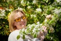 Outdoor portrait of a beautiful blonde middle-aged woman near blossom apple trees with white flowers. Royalty Free Stock Photo