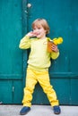 Outdoor portrait of a cute little boy Royalty Free Stock Photo