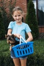 Outdoor portrait of cute Yorkshire terrier puppy in basket and preteen girl. Liitle girl holding dog breed Yorkshire Royalty Free Stock Photo