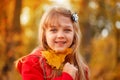 Outdoor portrait of happy blonde child girl in a red jacket holding yellow leaves. Little girl walking in the autumn park or Royalty Free Stock Photo