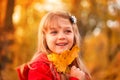 Outdoor portrait of happy blonde child girl in a red jacket holding yellow leaves. Little girl walking in the autumn park or Royalty Free Stock Photo