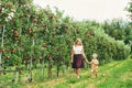 Outdoor portrait of happy young mother with little son walking in fruit orchard Royalty Free Stock Photo