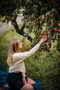 Outdoor portrait o young woman taking a red apple from a tree in her garden while relaxing on a blanket Royalty Free Stock Photo