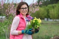 Outdoor portrait of smiling middle-aged woman in garden gloves with flowers for planting, spring flowering garden background, copy Royalty Free Stock Photo