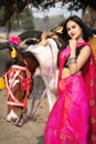 Outdoor portrait of very beautiful Indian girl wearing saree and holds the reins saddled horse and posing fashionable in blurred Royalty Free Stock Photo