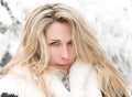 Beautiful long hair blonde woman portrait, winter, snow covered trees background Royalty Free Stock Photo