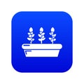 Outdoor potted plants icon blue vector