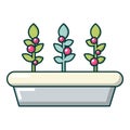 Outdoor potted plants icon, cartoon style