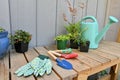 Yard and garden tools for spring and summer gardening with plants Royalty Free Stock Photo