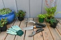 Yard and garden tools for spring and summer gardening with plants Royalty Free Stock Photo