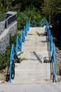 Outdoor public park concrete steps with blue metal handrails and two locked bicycles leading to dense forest next to stone wall