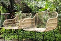 Outdoor rattan chair in backyard