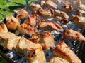 Outdoor recreation in the company. barbecue with friends. food on the grill. skewers with juicy, appetizing meat. natural food, Royalty Free Stock Photo