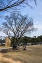 The outdoor rest area in Osulloc Tea Museum