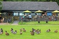 Outdoor restaurant with ducks.