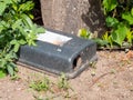 Outdoor rodent baiting station on the tree Royalty Free Stock Photo