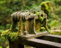 Outdoor rusty water pump is seen covered in moss and green lichen in a forest