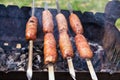 Outdoor sausages barbecue. BBQ on brazier. Royalty Free Stock Photo