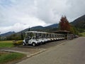 Outdoor scenery during day time with a row of golf carts. Royalty Free Stock Photo