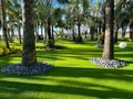 The outdoor sculpture garden at the Wave Hotel at Lake Nona in Orlando, Florida