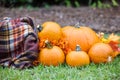 An outdoor set up of a crate with a fall autumn plaid brown blanket and lots of bright orange pumpkins and flowers for