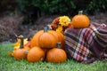 An outdoor set up of a crate with a fall autumn plaid brown blanket and lots of bright orange pumpkins and flowers for