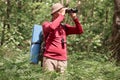 Outdoor shiot of man looking through binoculars in forest, senior traveller wearing casual clothing having adventure in wood, Royalty Free Stock Photo