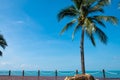 Outdoor shot of beautiful beach ocean scenery with wooden deck walk way beside the sea and coconut tree. With clear blue sky, Royalty Free Stock Photo