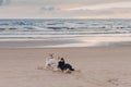 Outdoor shot of two dogs have struggle on sandy beach near sea during summer day. Horizontal view. Animals and nature concept