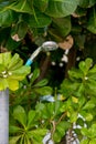 Outdoor shower at swimming pool.  shower cabins behind outdoor swim pool . Royalty Free Stock Photo