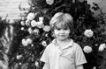 Outdoor small child portrait on the meadow. Little cute kid with flowers in a garden. Children play outdoors. Kid play Royalty Free Stock Photo