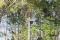 Outdoor Solar Lamp Against Tree Background Royalty Free Stock Photo