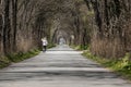 Outdoor sporting activity running through atmospheric avenue of trees on dutch the coutryside Royalty Free Stock Photo