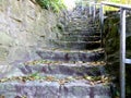 Outdoor staircase made of natural stones with a slight curve full of autumn leaves