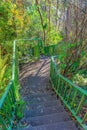 Outdoor stairs on a slope with concrete steps and painted green metal railings- San Francisco, CA