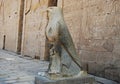 Outdoor statue of Horus at the Temple of Edfu, Nubia, Egypt Royalty Free Stock Photo