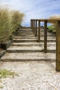 Outdoor steps with railing in parklike setting Royalty Free Stock Photo